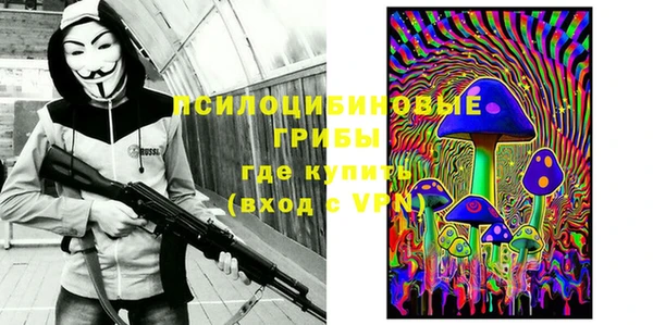 не бодяженный Няндома