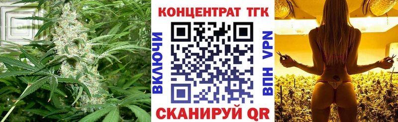 ТГК гашишное масло  как найти   Новомичуринск 